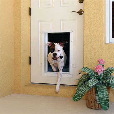 dog door rfid chip|door with electronic dog built.